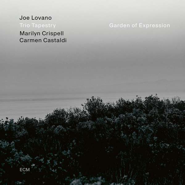 Garden Of Expression (180g) - Joe Lovano - LP