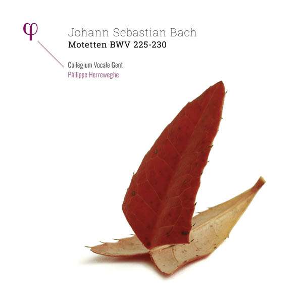 Motetten BWV 225-230 - Johann Sebastian Bach (1685-1750) - LP