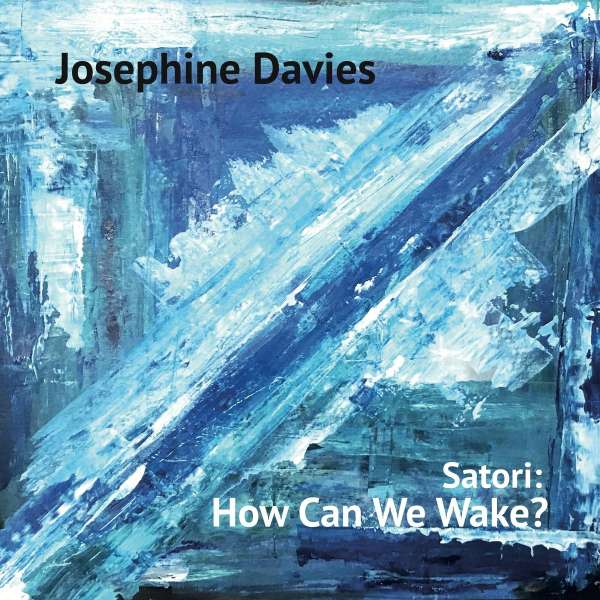 Satori: How Can We Wake? (180g) - Josephine Davies - LP