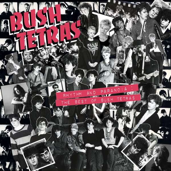 Rhythm And Paranoia: The Best Of Bush Tetras (remastered) (180g) - Bush Tetras - LP