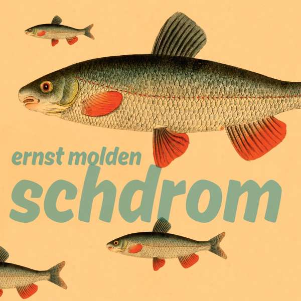 Schdrom (180g) - Ernst Molden - LP