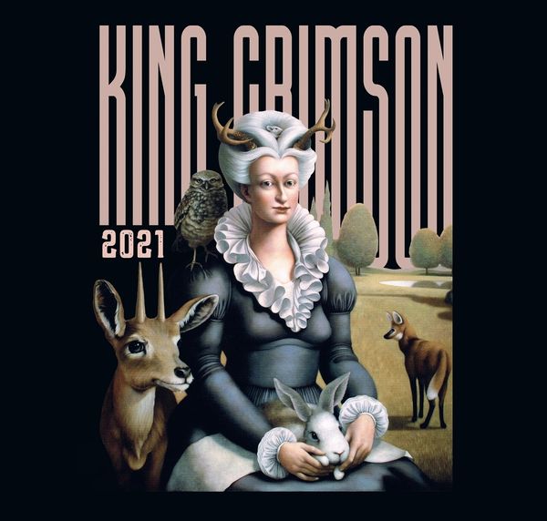 Music Is Our Friend: Live In Washington And Albany, 2021 (200g) (Limited Edition) - King Crimson - LP