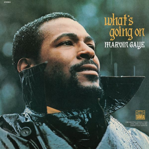 What's Going On (remastered) (180g) - Marvin Gaye - LP