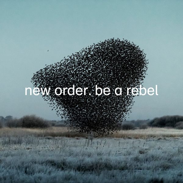 Be A Rebel - New Order - Single 12