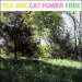 You Are Free – Cat Power