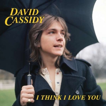 I think I love you - David Cassidy
