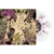 Static Tensions (Limited Edition) (Transparent Purple Splatter Vinyl) - Kylesa - LP - Front