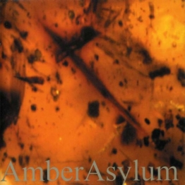 Frozen In Amber - Amber Asylum - CD - Front