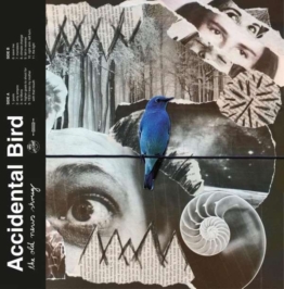 The Old News Shrug (Blue Transparent Vinyl) - Accidental Bird - LP - Front