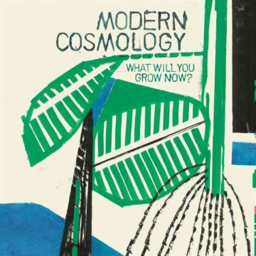 What Will You Grow Now? - Modern Cosmology - LP - Front