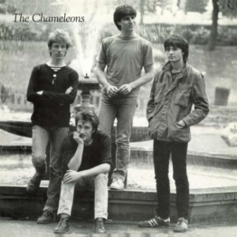 Tony Fletcher - The Chameleons (Post-Punk UK) - Single 12" - Front