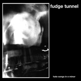 Hate Songs In E Minor (180g) - Fudge Tunnel - LP - Front