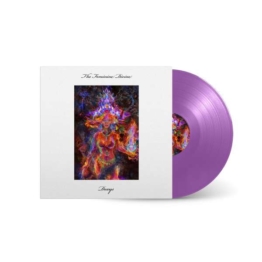 The Feminine Divine (Limited Edition) (Purple Vinyl) - Dexys - LP - Front