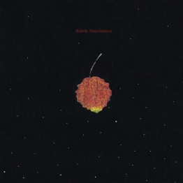 Ainavihantaa (Limited Edition) (Red Vinyl) - Malady - LP - Front