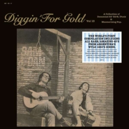 Diggin' For Gold Vol.13 (Limited Edition) - Various Artists - LP - Front