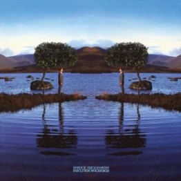 Skunkworks (180g) - Bruce Dickinson - LP - Front