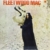 The Pious Bird Of Good Omen (180g HQ-Vinyl) - Fleetwood Mac - LP - Front