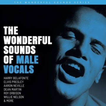 The Wonderful Sounds Of Male Vocals (200g) (Limited Edition) -  - LP - Front