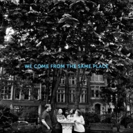 We Come From The Same Place - Allo Darlin' - LP - Front