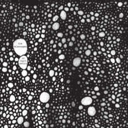 As Light Return - The Telescopes - LP - Front