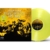 United Nations Of Blues (180g) (Limited Edition) (Green Vinyl) (exklusiv für jpc!) - Blues Company - LP - Front