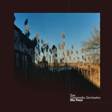 Ma Fleur - The Cinematic Orchestra - LP - Front