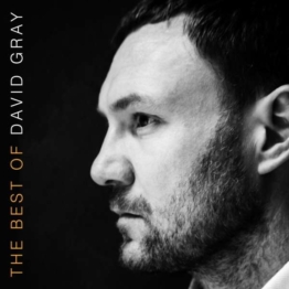 The Best Of David Gray - David Gray - LP - Front