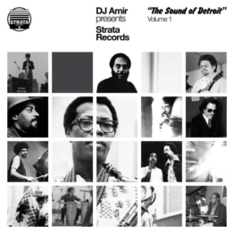 DJ Amir Presents: Strata Records (The Sound Of Detroit) (Volume 1) - Various Artists - LP - Front