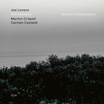 Garden Of Expression (180g) - Joe Lovano - LP - Front