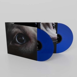 The Dark Side Of The Moon Redux (Limited Indie Edition) (Transparent Blue Vinyl) - Roger Waters - LP - Front