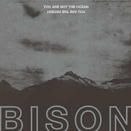 You Are Not The Ocean You Are The Patient - Bison - LP - Front
