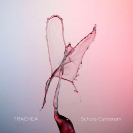 Schola Cantorum - Trachea - Björn Kare Odde - Blu-ray Audio - Front