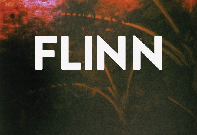 Flinn