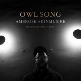 Owl Song - Ambrose Akinmusire - LP - Front