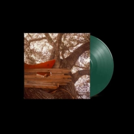 Waiting To Spill (Limited Edition) (Dark Green Vinyl) - Backseat Lovers - LP - Front
