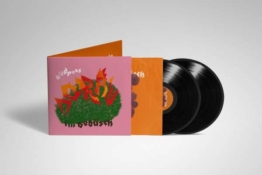 Im Gebüsch (Limited Bonus Track-Edition) - Andreas Dorau - LP - Front