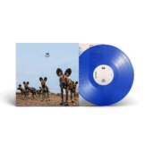 Fever (Limited Edition) (Transparent Blue Vinyl) - Balthazar - LP - Front