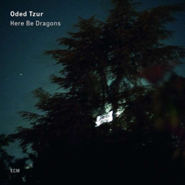 Here Be Dragons - Oded Tzur - LP - Front
