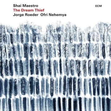 The Dream Thief - Shai Maestro - LP - Front