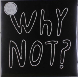 Why Not? (Limited-Edition) (White Vinyl) - Half Japanese - LP - Front