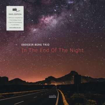 In The End Of The Night (180g) (Limited-Edition) - Oddgeir Berg - LP - Front