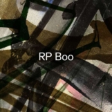 Established! - RP Boo - LP - Front